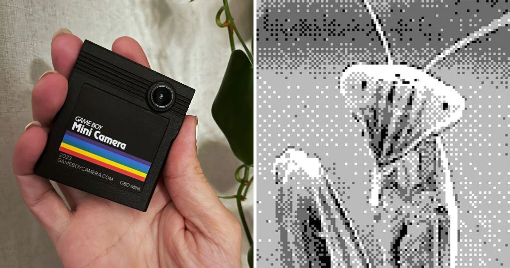 Game Boy Camera in een cartridge